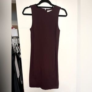 Aritzia Dress